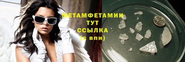 шишки Лабытнанги