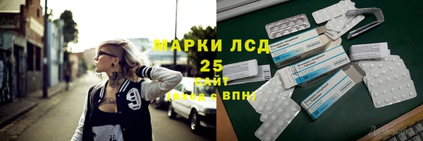 шишки Лабытнанги