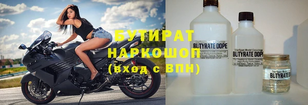 шишки Лабытнанги