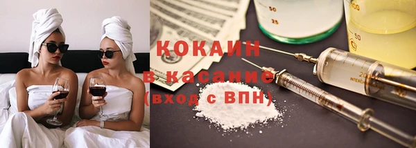 шишки Лабытнанги