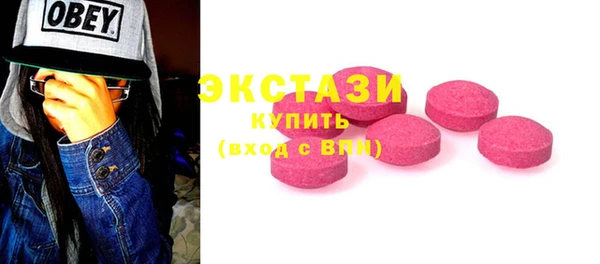 шишки Лабытнанги