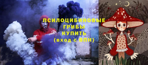 шишки Лабытнанги