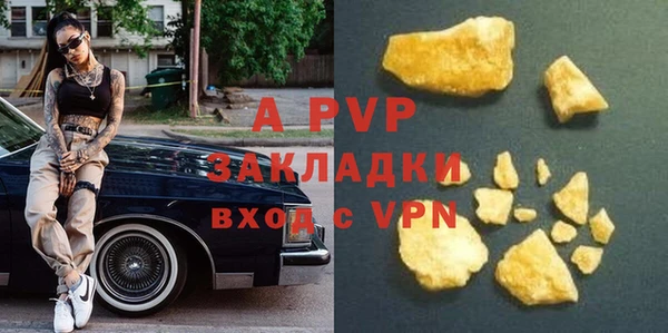шишки Лабытнанги