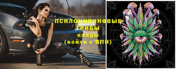 ECSTASY Туринск