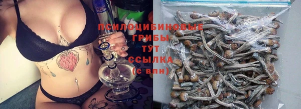 первитин Ладушкин