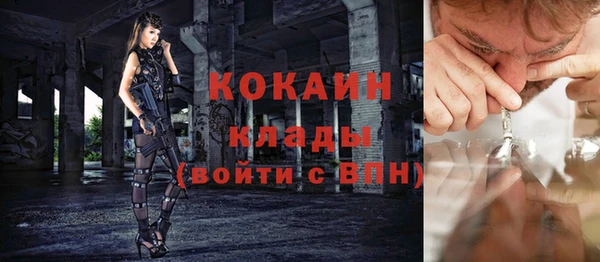 шишки Лабытнанги