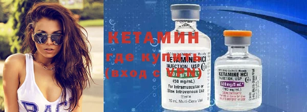 шишки Лабытнанги