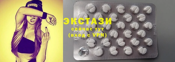 шишки Лабытнанги